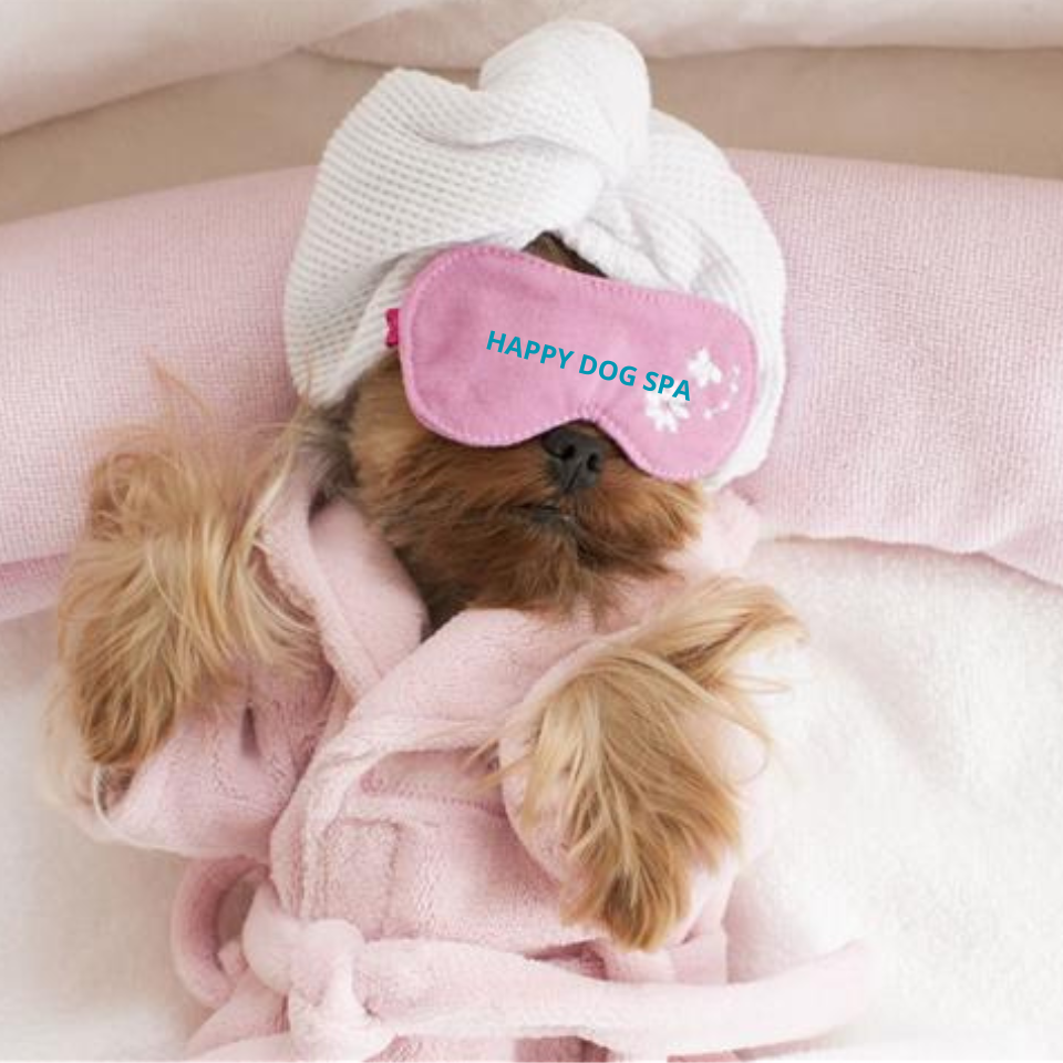 happy dog spa